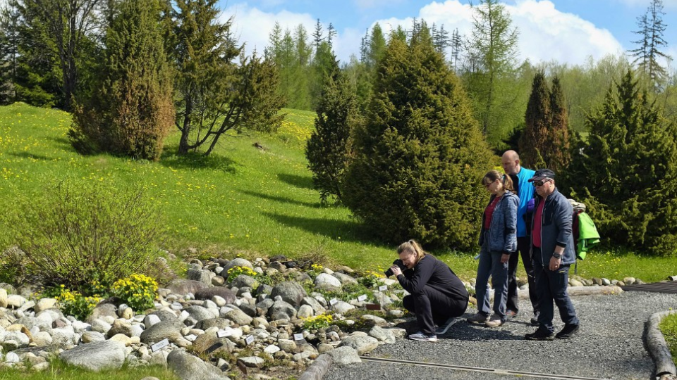 Na snímke si turisti prezerajú a fotografujú kvety na skalke v botanickej záhrade Štátnych lesov Tatranského národného parku (TANAP) v Tatranskej Lomnici vo Vysokých Tatrách 6. mája 2017. 