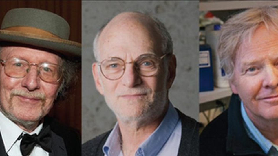 Trojica amerických vedcov dnes získala Nobelovu cenu v kategórii medicíny a fyziológie.