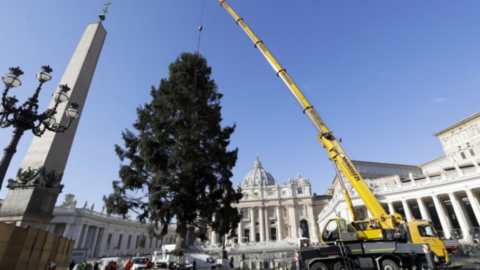 Na snímke stavanie vianočného stromčeka na Námestí sv. Petra vo Vatikáne vo štvrtok 23. novembra 2017.