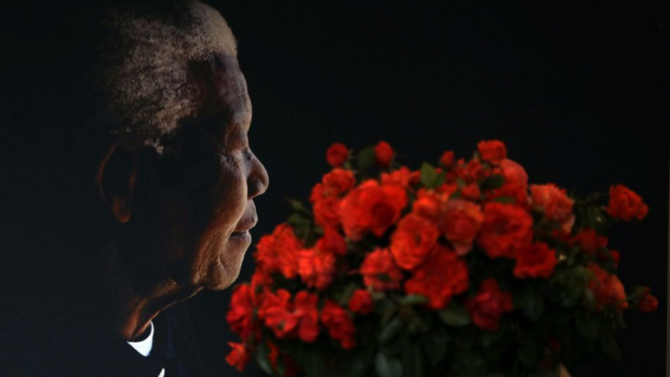 Kytica ruží Nelsona Mandelu je položená pred portrétom Nelsona Mandelu 8. februára 2018 v Johannesburgu. Nadácia Nelsona Mandelu predstavila pred Valentínom, dňom zaľúbených, ružu oranžovorumelkovej farby pomenovanú po tomto vodcovi boja proti apartheidu, ktorý sa stal prvým černošským prezidentom Juhoafrickej republiky (JAR).