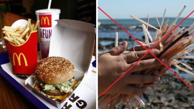 Skvelá správa: McDonald's zakáže plastové slamky, ktoré ročne zabijú 1,5 milióna morských živočíchov