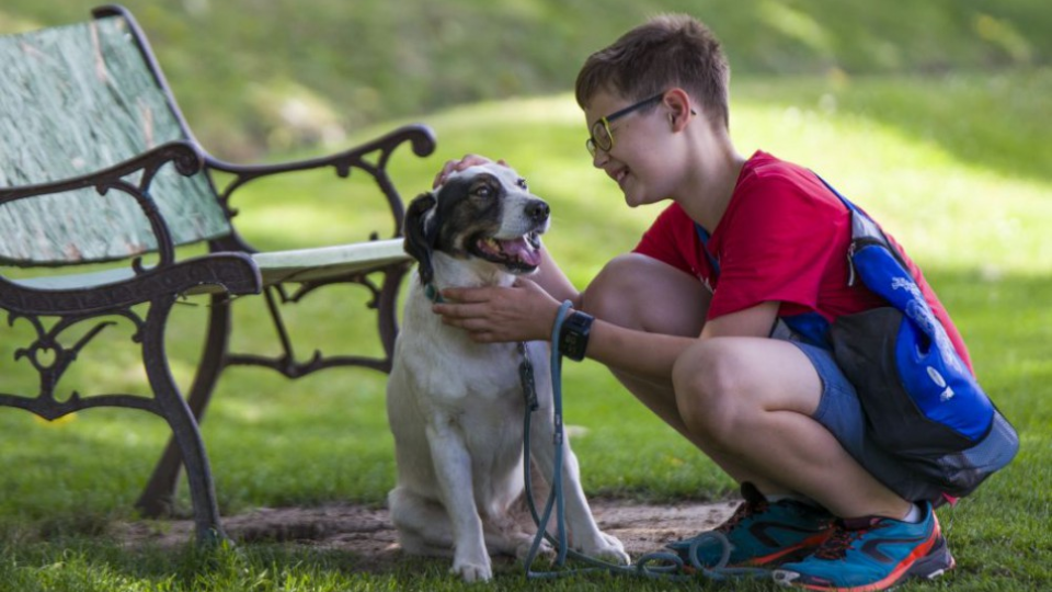 Z osláv 25 rokov organizácie Sloboda zvierat  7. júla 2018 v Bratislave. Na snímke návštevník trávi čas spolu so psíkom z útulku. 