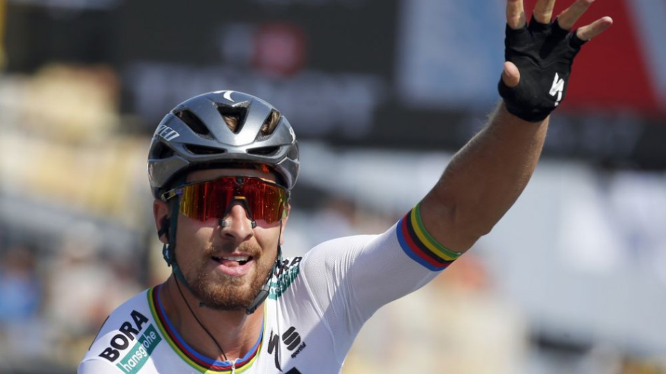 Slovenský cyklista Peter Sagan sa raduje z víťazstva v 2. etape 105. ročníka cyklistických pretekov Tour de France z Mouilleron-Saint-Germain do Roche-sur-Yon 8. júla 2018.