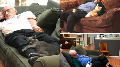 Dôchodca si chodí pospať s osamelými mačkami do miestneho útulku. A internet ho za to zbožňuje