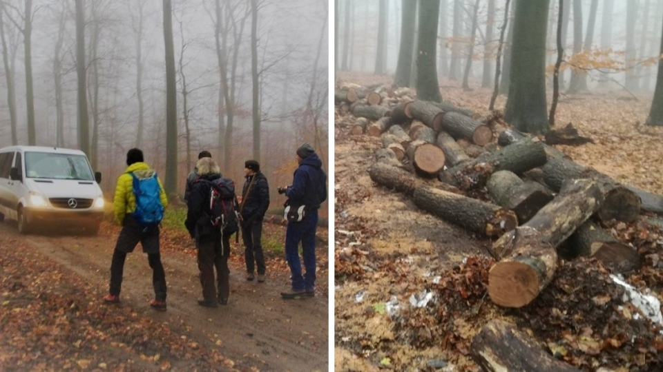 Koláž DN - ochranári bránia územie Vydrice pred štátnymi lesníkmi.