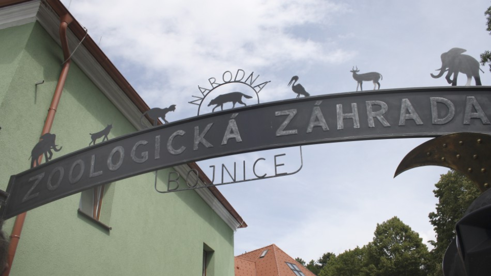 Bojnická zoologická záhrada, ilustračná snímka.