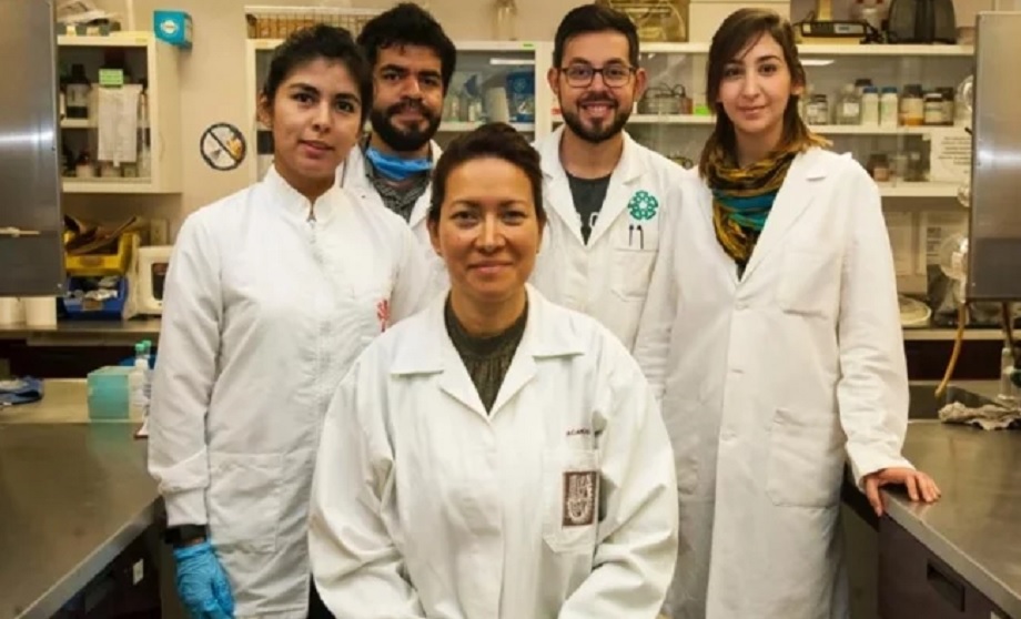 Tím mexických vedcov, ktorí vynašli spôsob, ako vyliečiť ľudský papilomavírus.