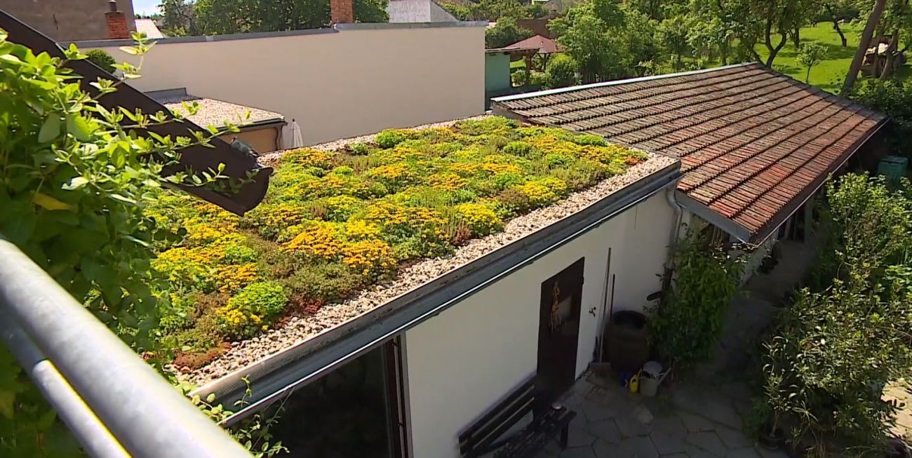 Zelená strecha v Brne