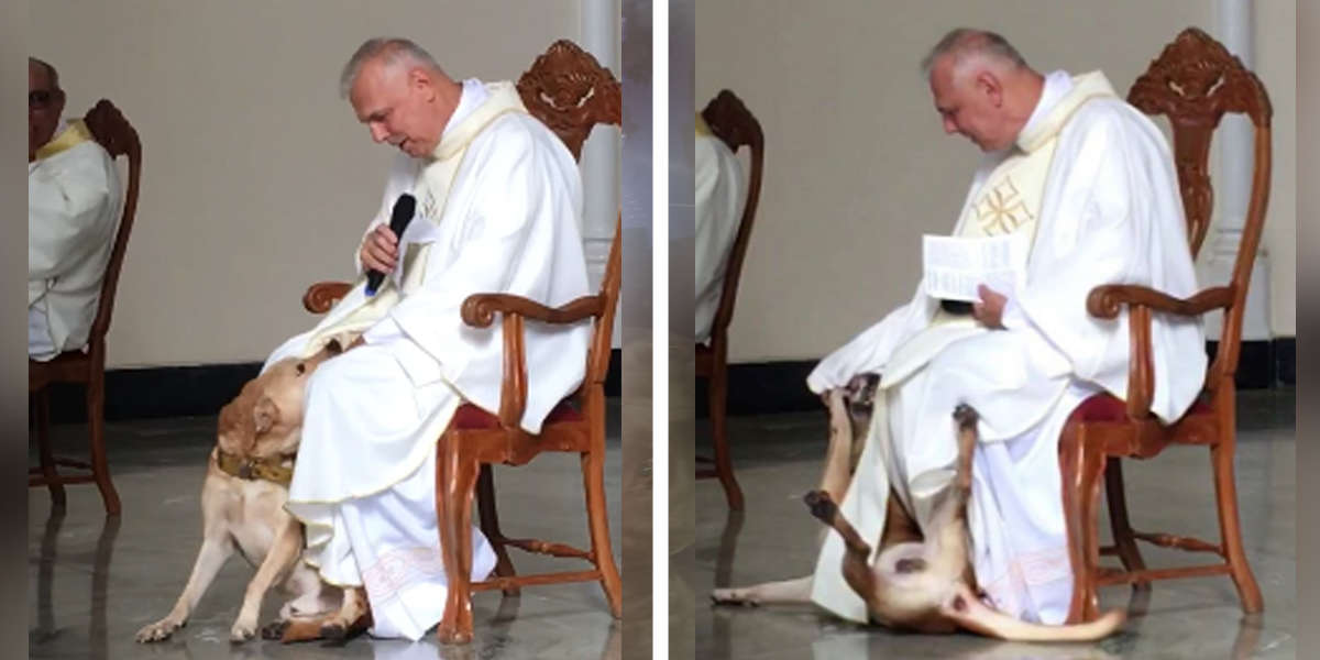Hravý psík si našiel cestu ku kňazovi