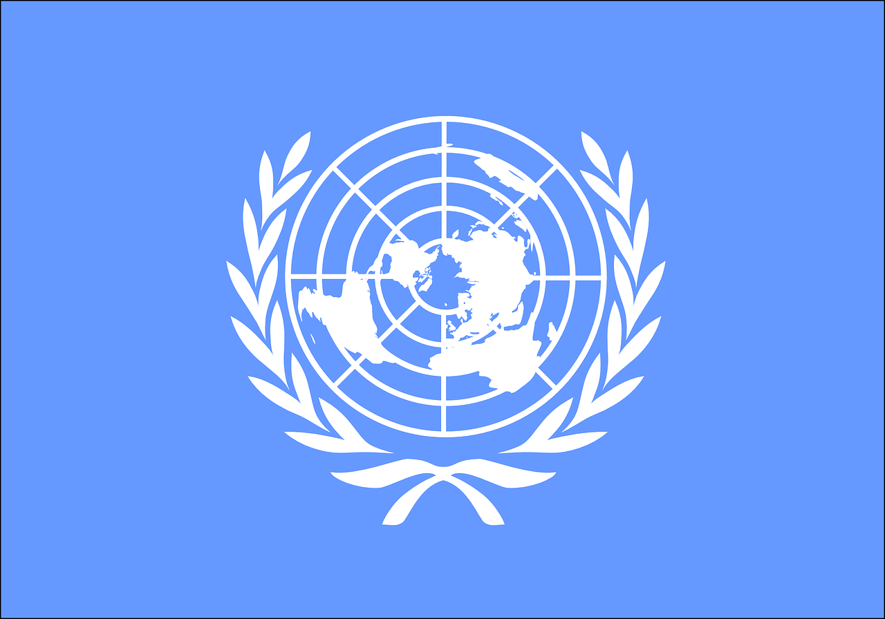 Vlajka OSN, ilustračný obrázok