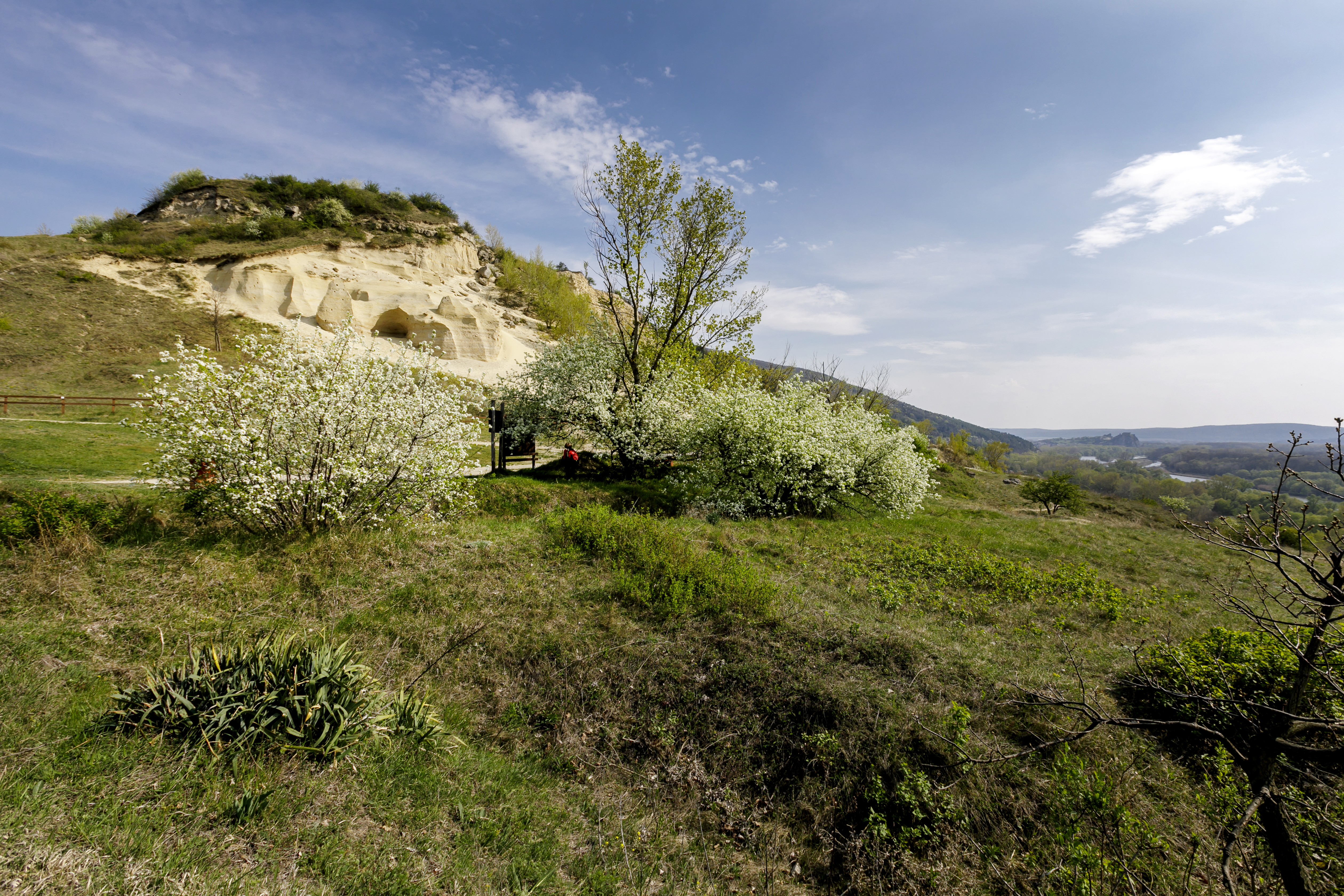 Na snímke významná paleontologická lokalita Sandberg, ktorá je súčasťou Národnej prírodnej rezervácie Devínska  Kobyla.