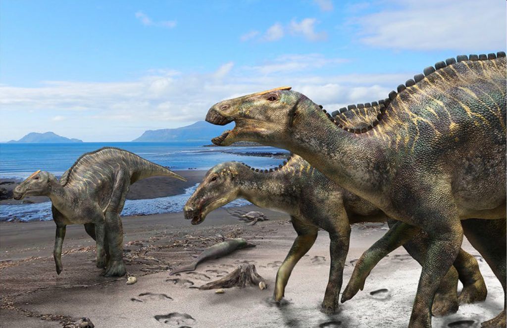 Umelecká rekonštrukcia dinosaura Kamuysaurus japonicus