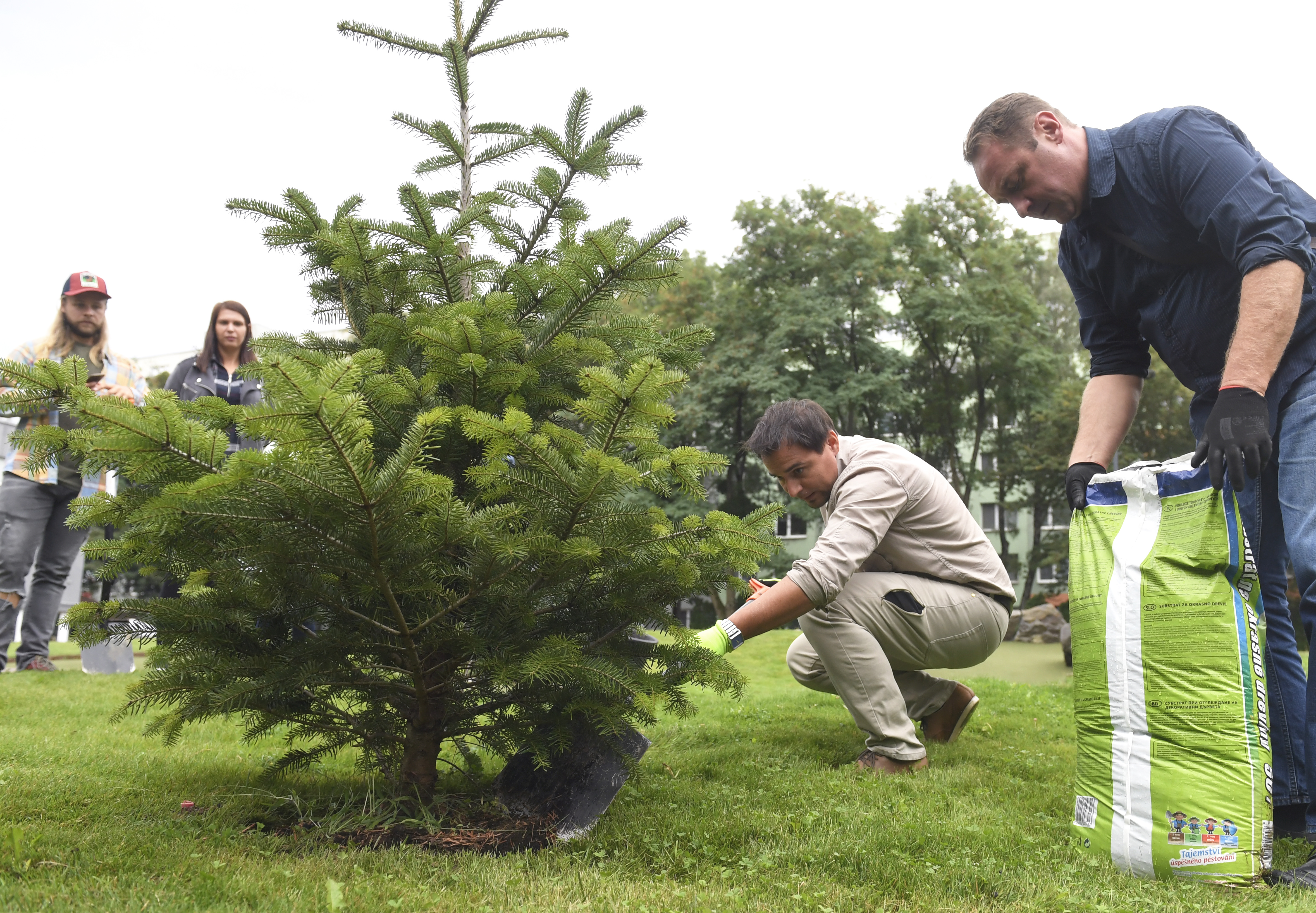 Na snímke oficiálne vysadenie prvého stromčeka v rámci projektu košických dobrovoľníkov – Sadíme strom  života  v areáli penziónu Set v Košiciach 9. septembra 2019.