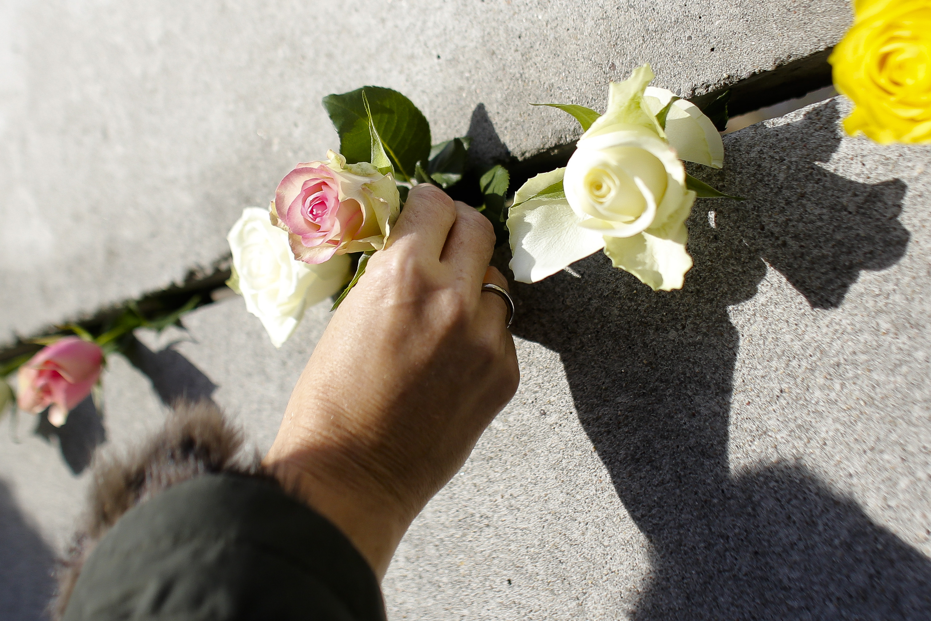 KK37 Berlín  - Žena ukladá ružu do pozostatkov Berlínskeho múru počas 24. výročia jeho pádu 9. novembra 2013 v Berlíne .