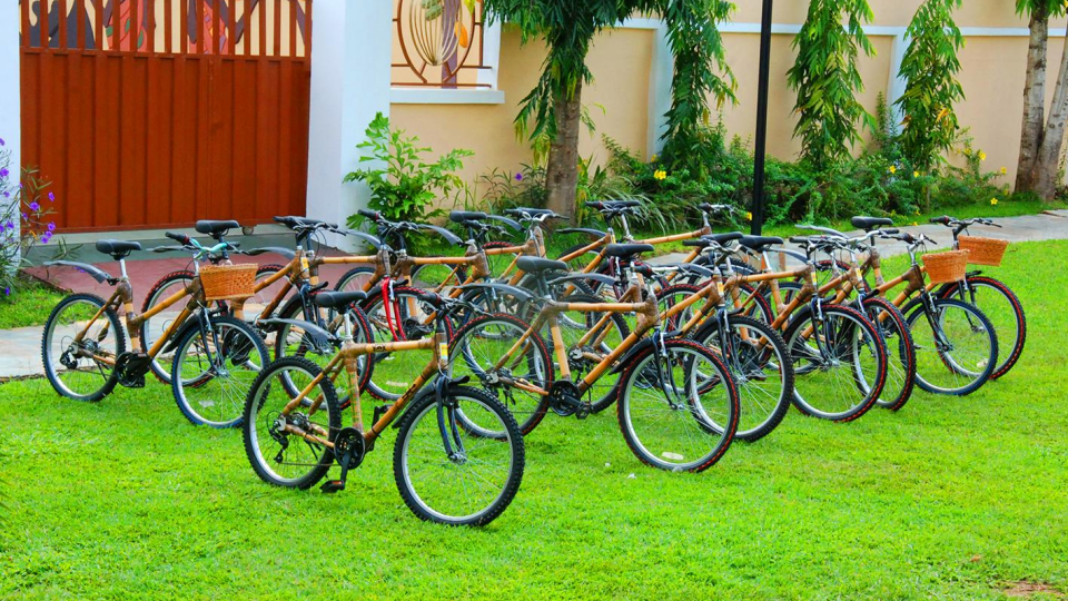 Bicykle z bambusu sa ukázali ako odolné a ekologické. Záujem o ne vo svete rastie.