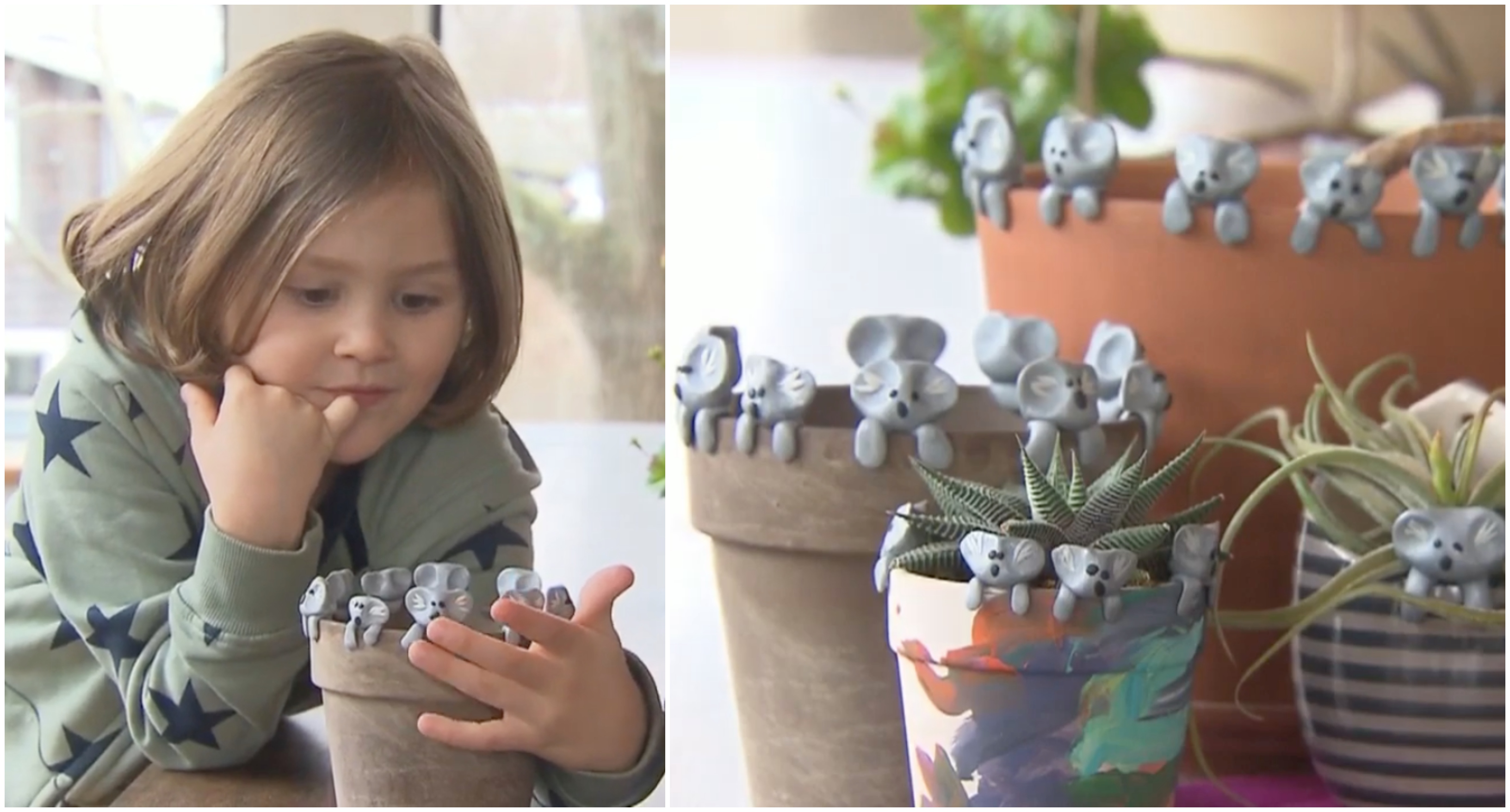 6-ročný chlapec vyrába hlinené koaly, aby pomohol zvieratám v Austrálii