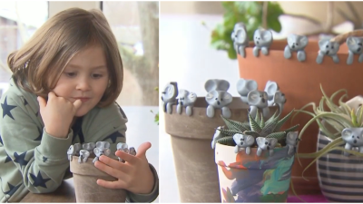 Len 6-ročný chlapec vyrába hlinené koaly, aby pomohol zvieratám v Austrálii. Ľudia si jeho výtvory zamilovali