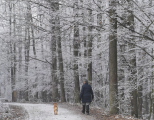 SHMÚ: Studený front prinesie na Slovensko vo väčšine snehové zrážky