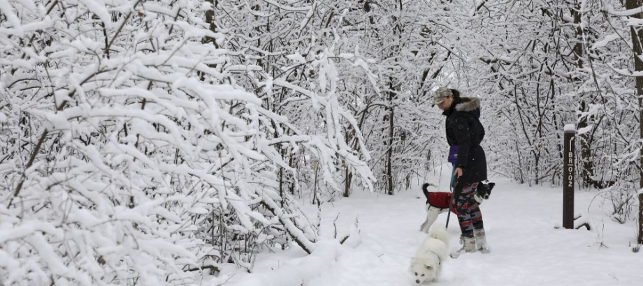 Slovensko sa na niektorých miestach poriadnej zimy zatiaľ zrejme nedočká