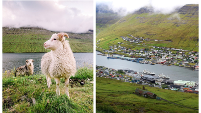 Faerské ostrovy definitívne stopli šírenie koronavírusu. Pomohol miestny veterinár aj súdržnosť