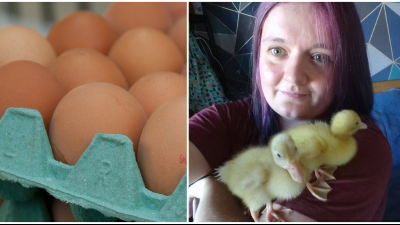 Žena si v supermarkete kúpila vajíčka. To, čo sa stalo len pár dní potom, prekvapí aj vás 