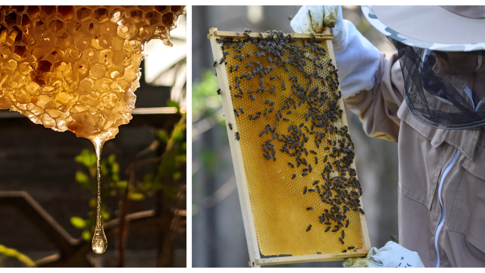 Na ilustračnej snímke včelár Martin Michalík kontroluje včely v úľoch.
