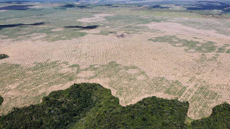 Deforestácia Amazonského pralesa.