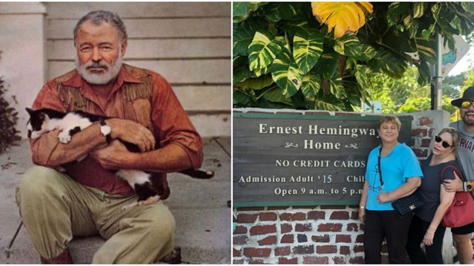 Ernest Miller Hemingway bol milovníkom mačiek.