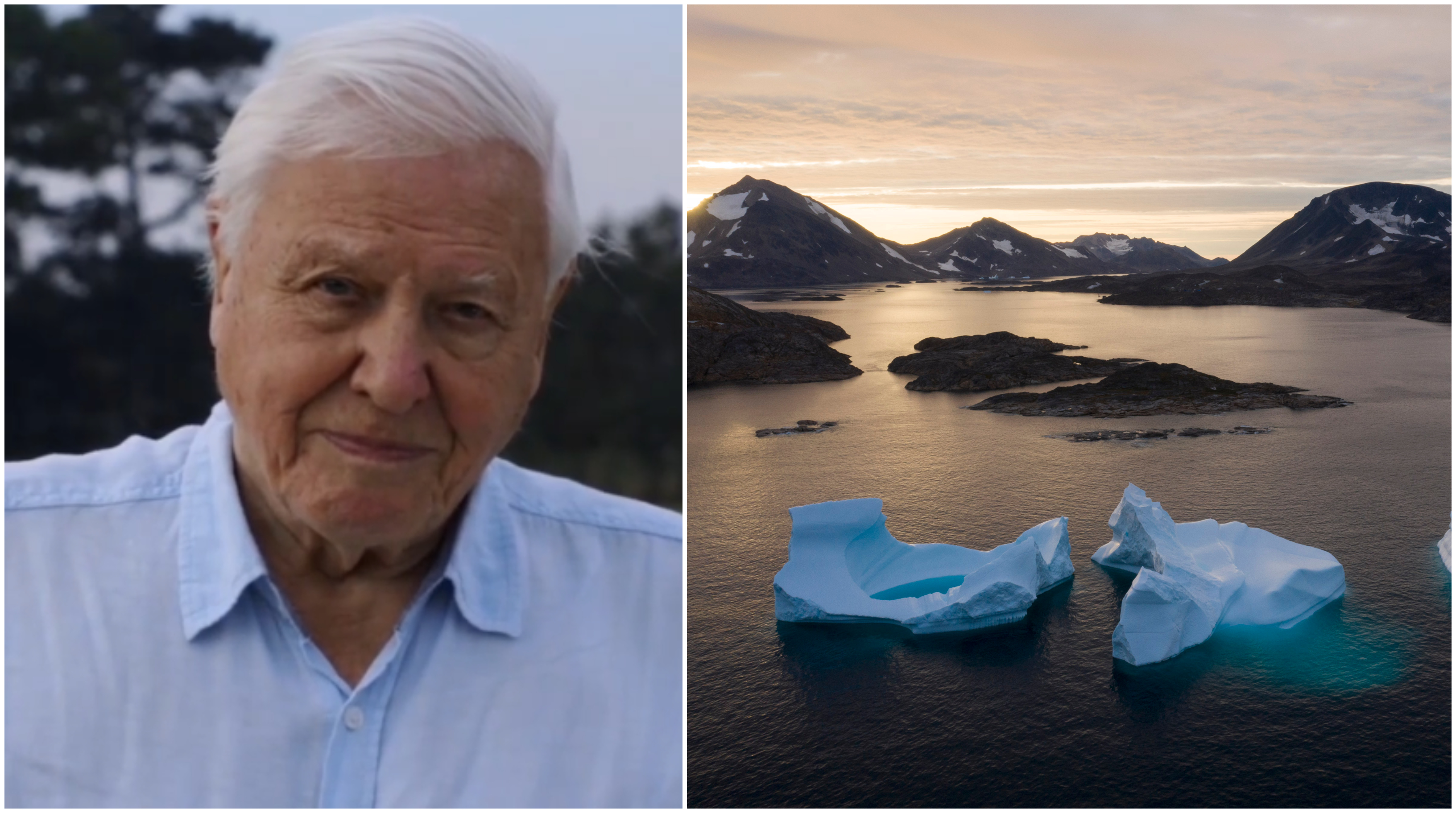 Na snímke je David Attenborough a ľadovce, ktoré plávajú počas východu slnka neďaleko grónskeho Kulusuku. Grónsko prišlo v roku 2019 o rekordné množstvo ľadového príkrovu.