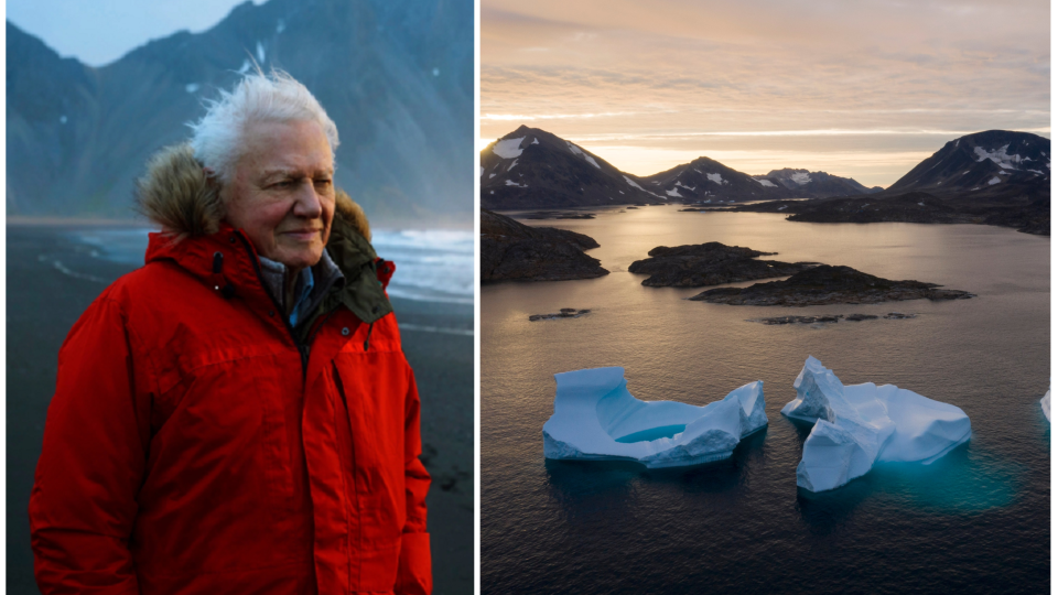 Na snímke je David Attenborough a ľadovce, ktoré plávajú počas východu slnka neďaleko grónskeho Kulusuku. Grónsko prišlo v roku 2019 o rekordné množstvo ľadového príkrovu. 