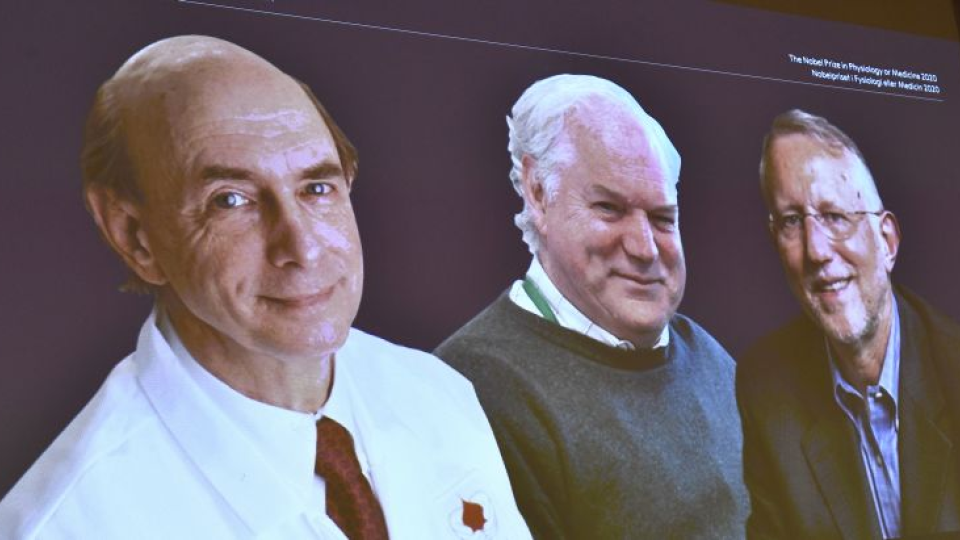 Nobelovu cenu za fyziológiu alebo medicínu za rok 2020 získali v pondelok 5. októbra 2020 Američania Harvey Alter (vľavo) a Charles Rice (vpravo) a Brit Michael Houghton (uprostred)