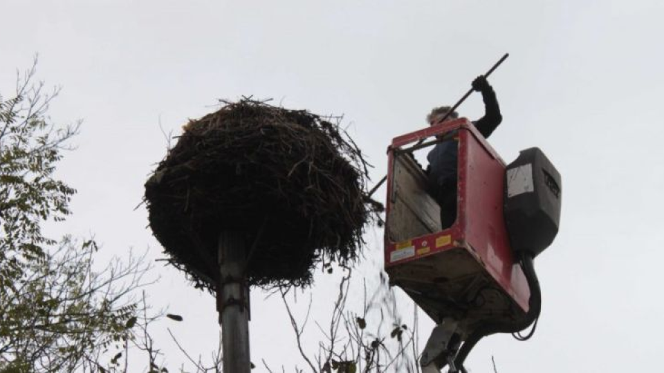 Ochranári upravili 20-ročné bocianie hniezdo, zásah potrebujú ďalšie tri