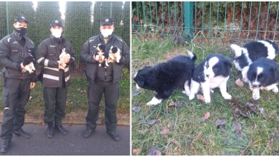 Policajti Jakub a Patrik zachránili šteniatka, ktorým išlo o život. A rozhodli sa, že im poskytnú nový domov
