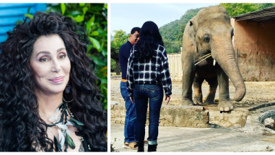 Cher zachránila najosamelejšieho slona sveta, ktorý roky trpel v zajatí. Pri stretnutí mu aj zaspievala