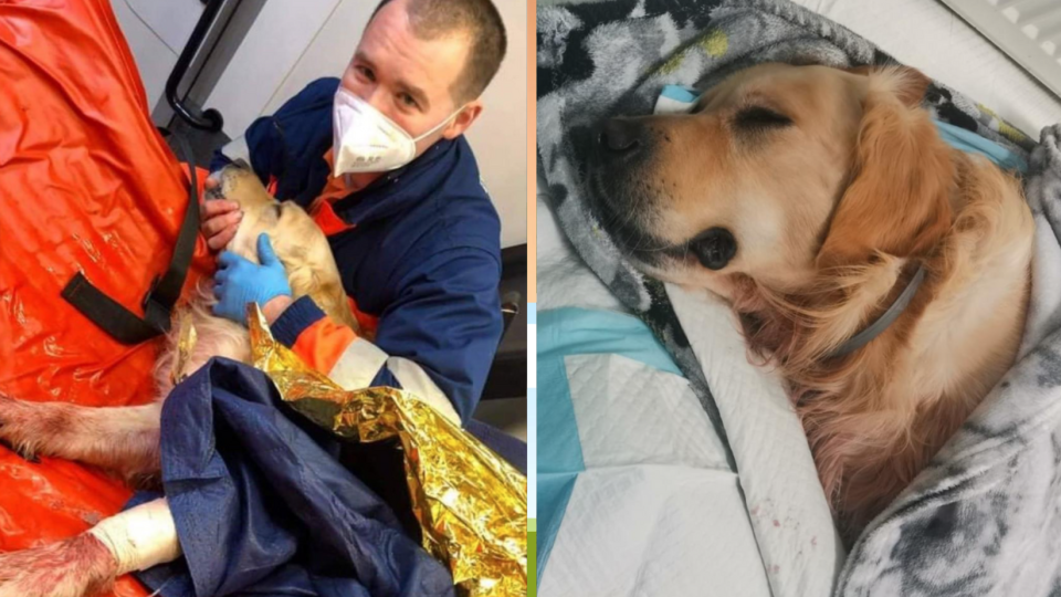 Záchranná akcia sa podarila a psík je v rukách veterinárov.