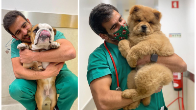 Veterinár má úžasný spôsob, ako očkovať psy bez toho, aby si to všimli