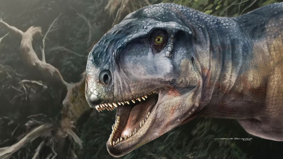 Takto mohol dinosaurus vyzerať.