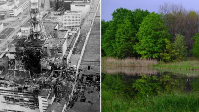 35 rokov od výbuchu v Černobyle. Ľudia utiekli, príroda v zamorenej oblasti prekvitá