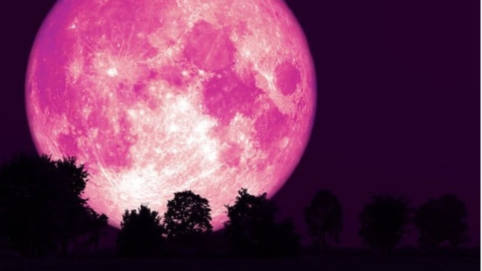 Ružový Mesiac je superspln, keď je Mesiac najbližšie k Zemi.