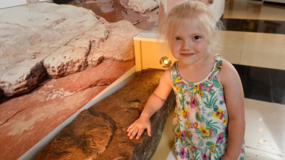 4-ročné dievčatko našlo výnimočný objav starý 200 miliónov rokov. Dostal sa až do múzea