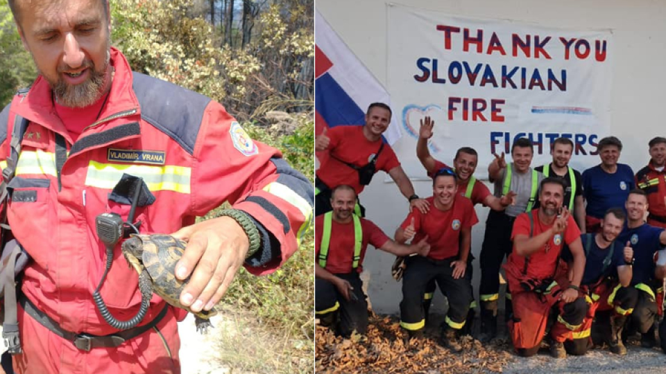 Pri hasení lesného požiaru zachránil slovenský hasič korytnačku.