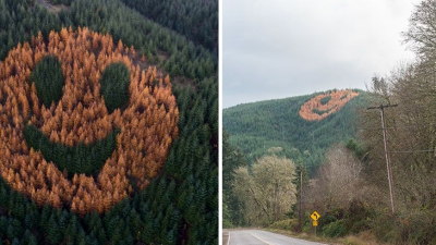 VIDEO: Ukáže sa každú jeseň. Takto vznikol obrovský lesný smajlík, ktorý víta okoloidúcich vodičov