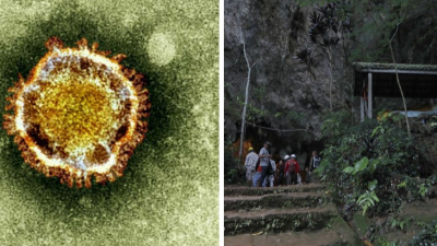 Vyriešili záhadu o pôvode koronavírusu? Stopa vedie do odľahlých končín, k živočíchom v jaskyniach