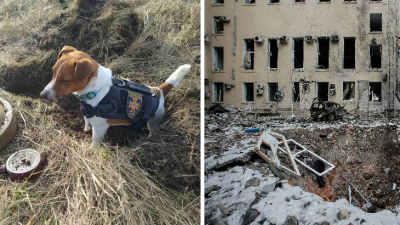 Malý psík pomáha pyrotechnikom odstraňovať ruské míny. Po nebezpečnej práci si rád zamaškrtí syr