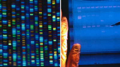 Podarilo sa prečítať tajomné a nepreskúmané časti našej DNA. Ľudstvo môže poraziť starnutie i rakovinu