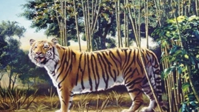 FOTO: Na tomto obrázku sa nachádza aj druhý tiger. Objaviť ho dokáže iba jedno percento z vás