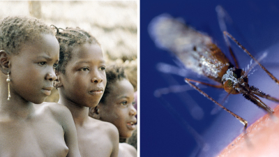 Nová vakcína proti zákernej malárii zmení svet. Smrteľná choroba sa vďaka nej môže stať minulosťou