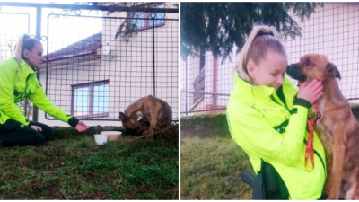 FOTO: Miro, Jakub a Kristína zachránili na kosť vychudnutého psíka. Nalákali ho na ženské zbrane