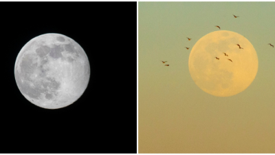 FOTO: Pozrite sa na oblohu, vyšiel Červí mesiac. Nastal posledný spln tohtoročnej zimy