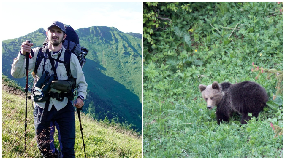 Martin Duľa / Medveď v prirodzenom prostredí Malej Fatry.